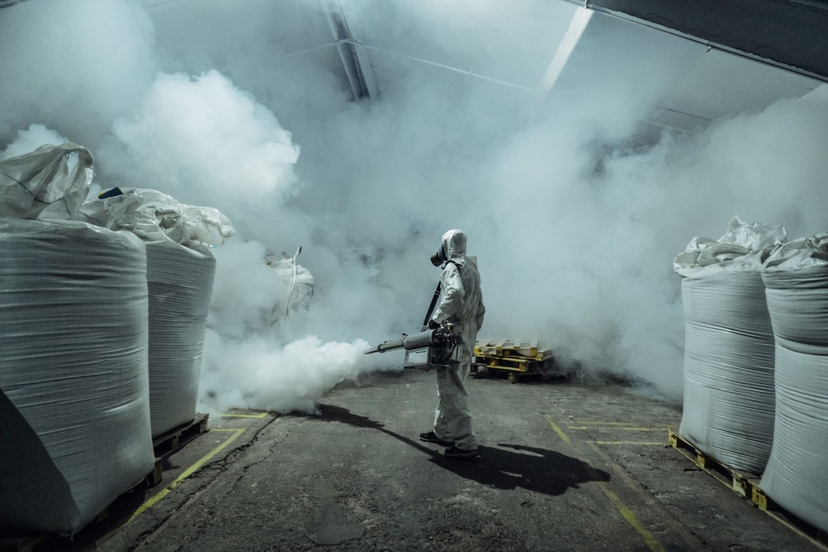 Холодный туман от муравьев в квартире