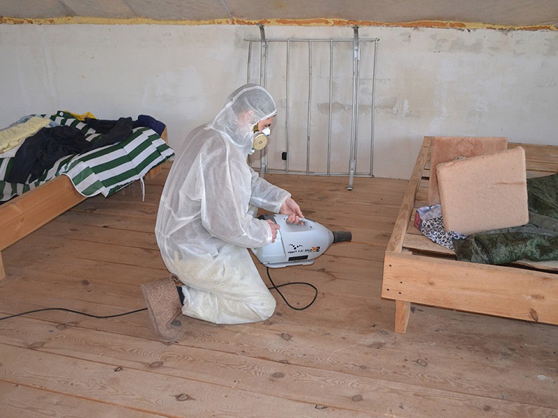 Уничтожение крыс холодным туманом