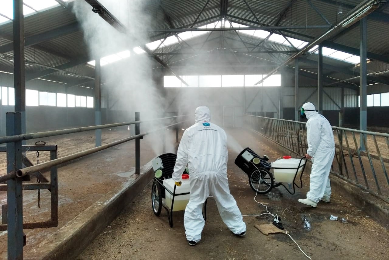 Холодный туман от запаха в квартире