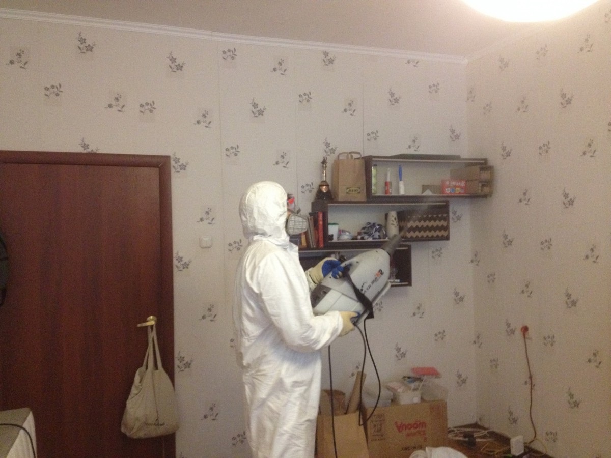 Дезинсекция холодным туманом