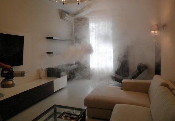 Холодный туман от тараканов