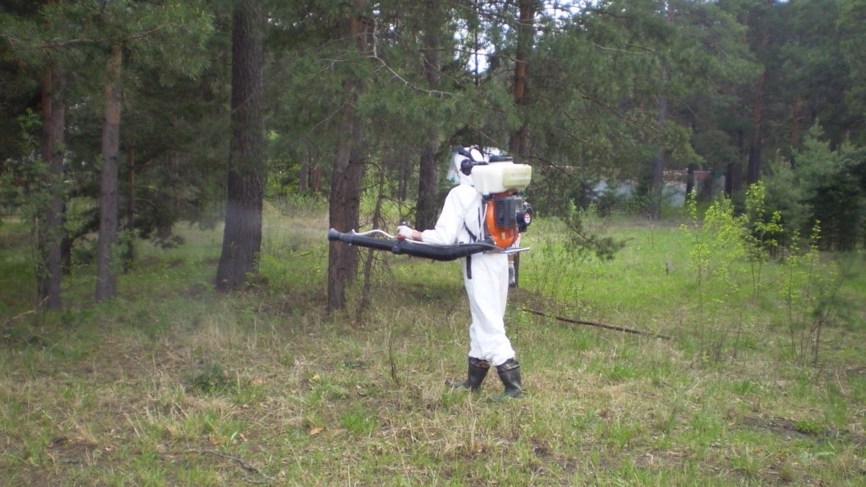 Уничтожение клещей в Шушарах