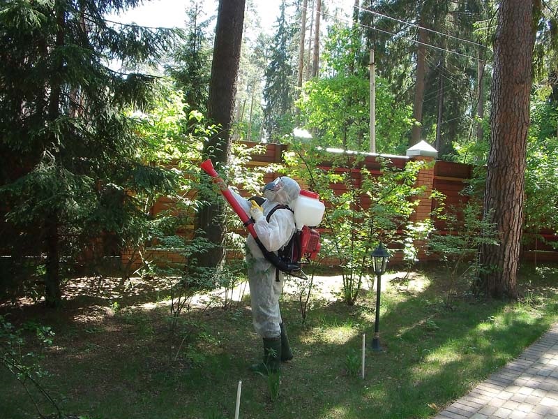 Уничтожение клещей в Кронштадте