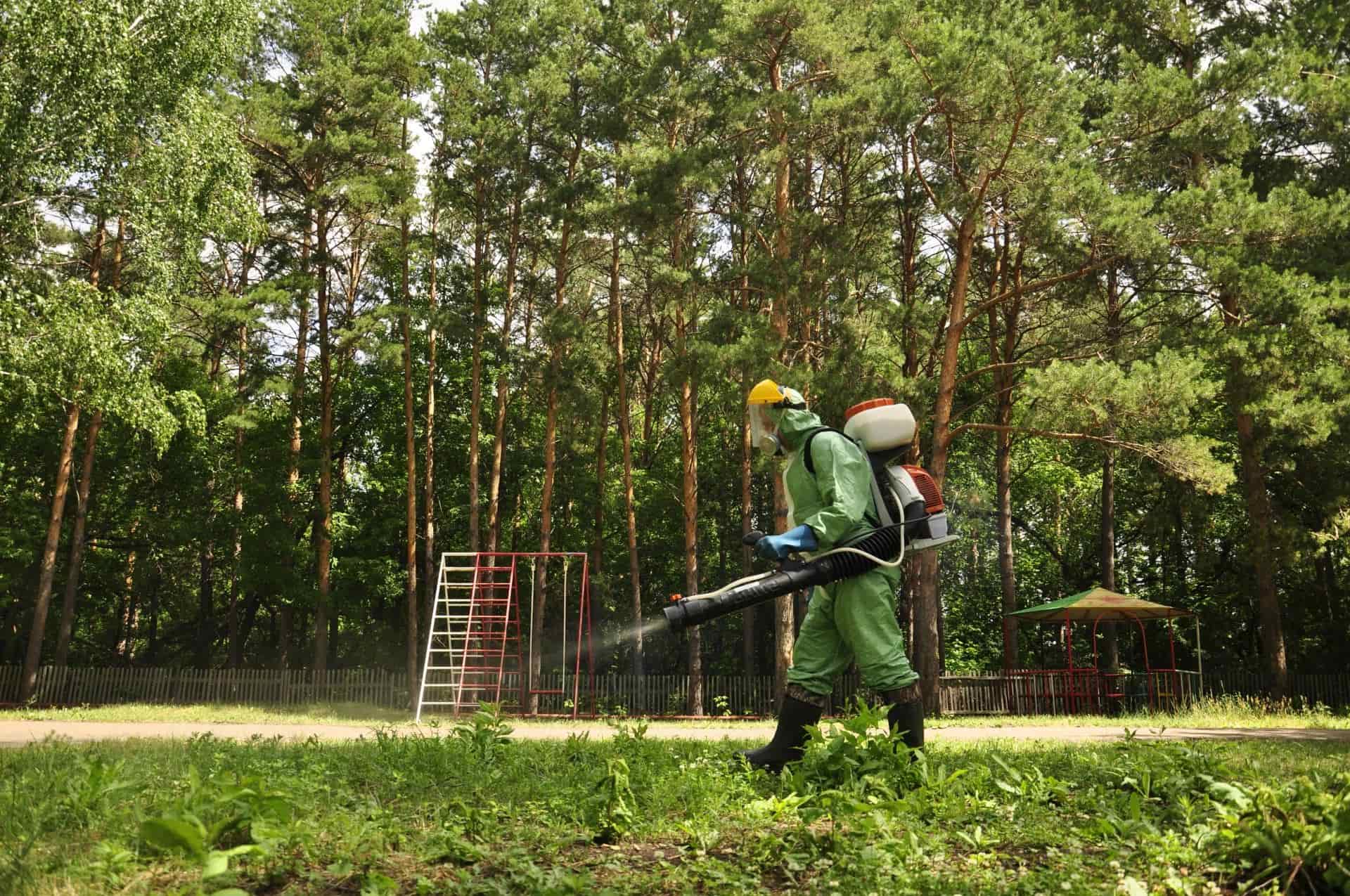 Уничтожение клещей в Ломоносове