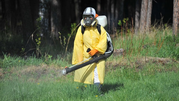 Уничтожение клещей в Красном селе