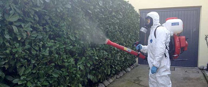 Уничтожение клещей в Новое Девяткино