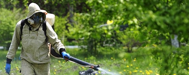 Уничтожение клещей в Буграх