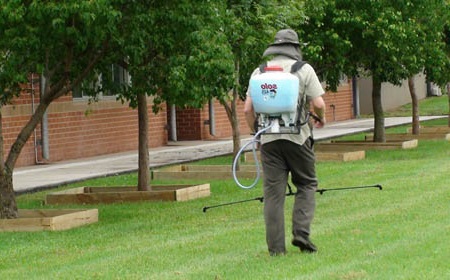 Уничтожение клещей в Зеленогорске