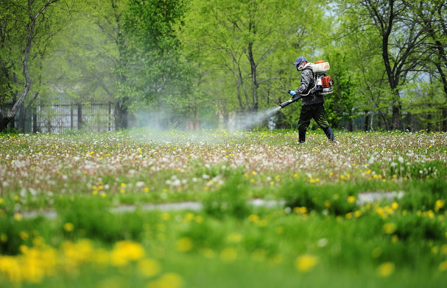 Уничтожение клещей в Пушкине