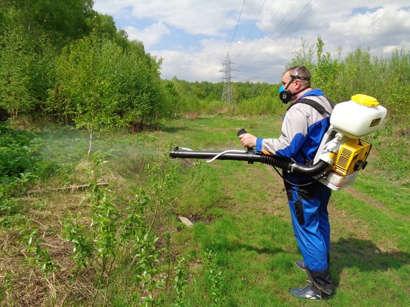 Уничтожение клещей в Колпино