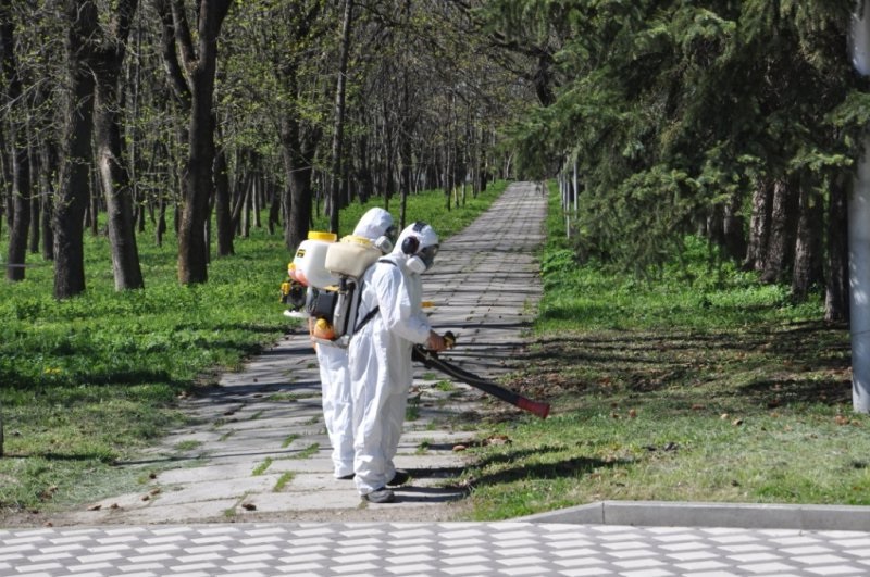 Уничтожение клещей в Петергофе