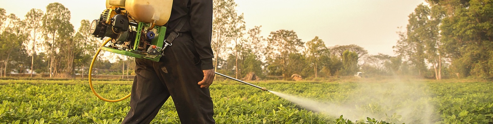 Уничтожение клещей в Парголово