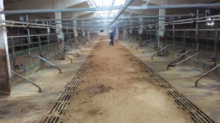 Обеззараживание после чумки