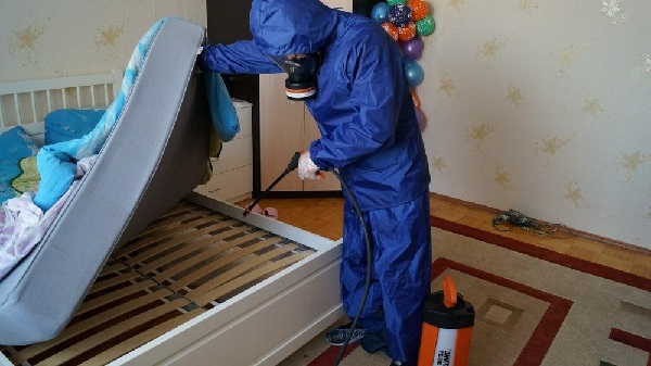 Дезинфекция после чумки у животных