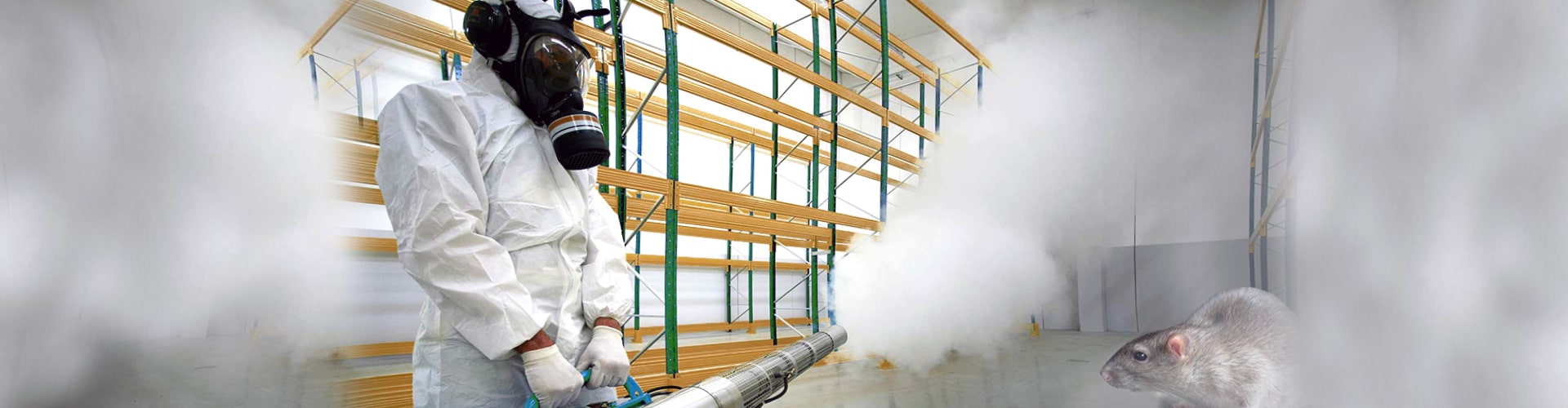 Уничтожение крыс в Янино-1 фирмой